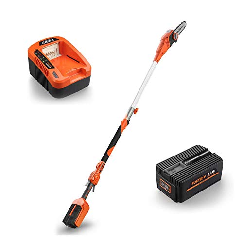 FUXTEC 40V 8Zoll Akku Hochentaster E608D Set inkl. 2Ah EP20 Akku mit Samsung-Zellen und Ladegerät E... FUXTEC 40V 8Zoll Akku Hochentaster E608D Set inkl. 2Ah EP20 Akku mit Samsung-Zellen und Ladegerät E...